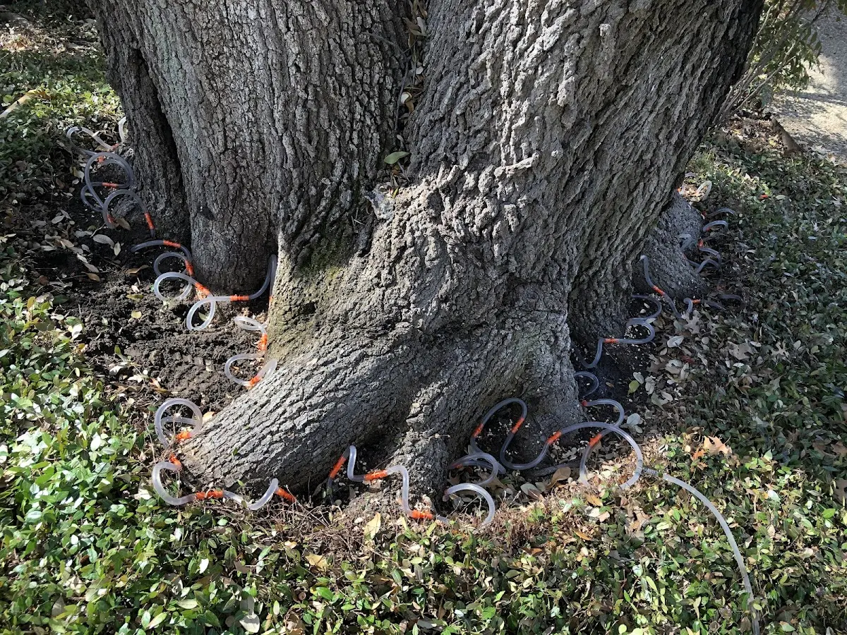 Detailed Shrub and Hedge Trimming job site in Broken Bow