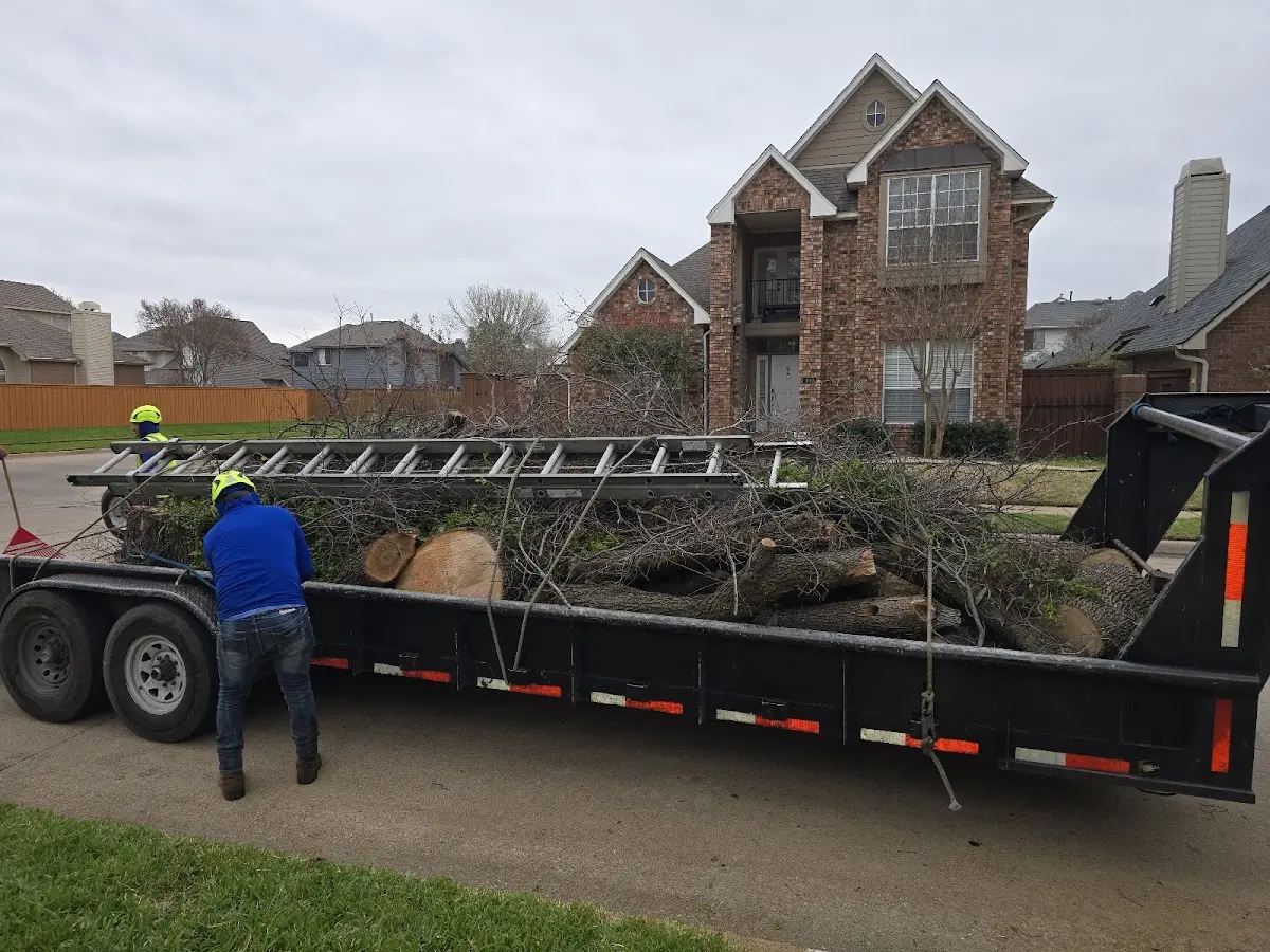 Expert Crown Reduction with proper safety equipment in Broken Bow